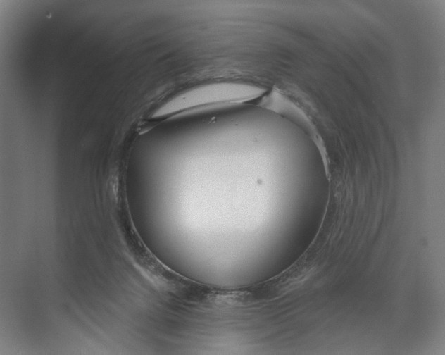 X0000073990072200609181753