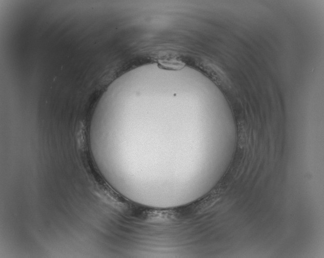 X0000073990077200609181753