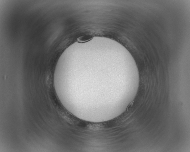 X0000073990079200609181753