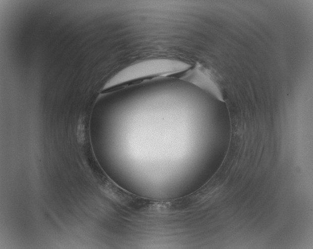 X0000073990080200609181753