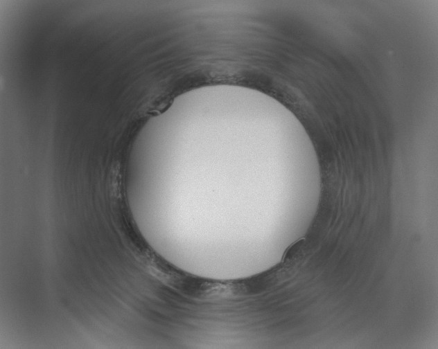 X0000073990083200609181753