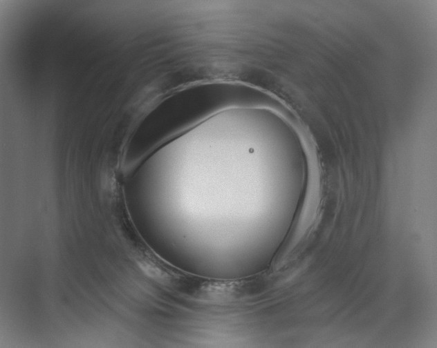 X0000073990084200609181753