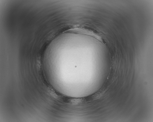 X0000073990085200609181753