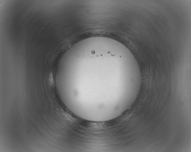 X0000073990089200609181753