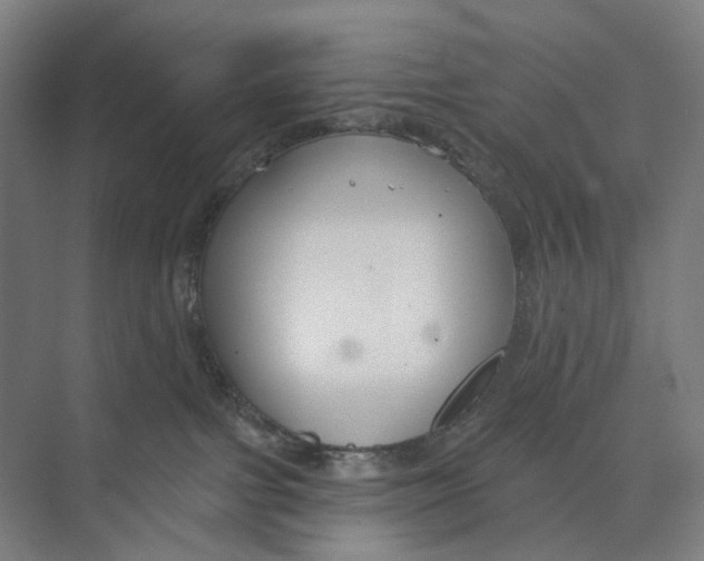 X0000073990091200609181753