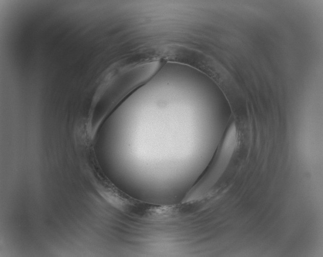 X0000073990092200609181753