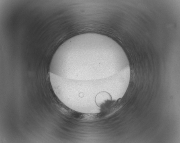 X0000073990093200609181753