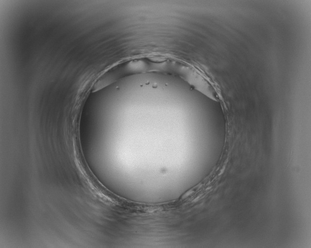 X0000073990097200609181753