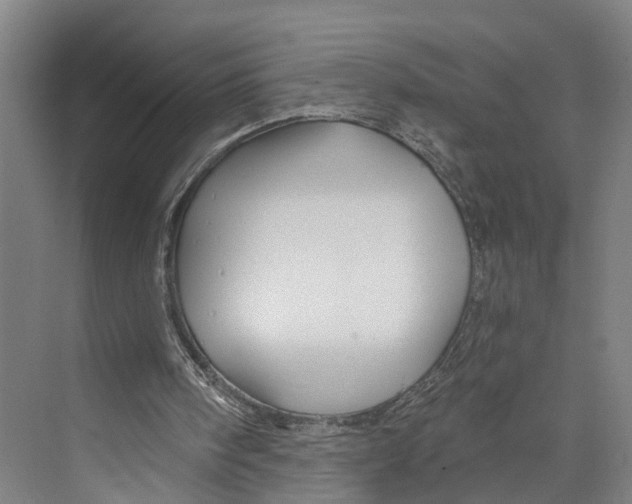 X0000073990098200609181753