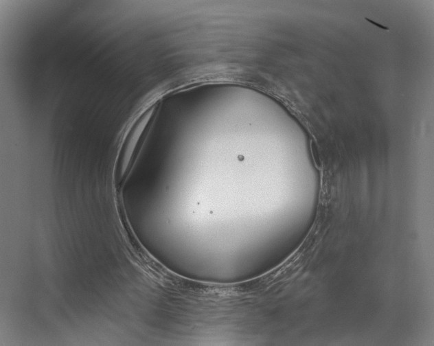 X0000073990099200609181753