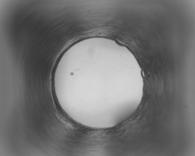 X0000073990100200609181753