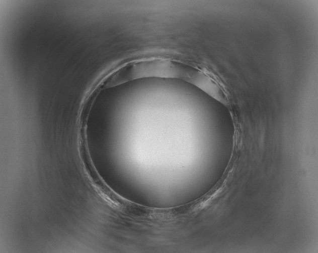 X0000073990101200609181753