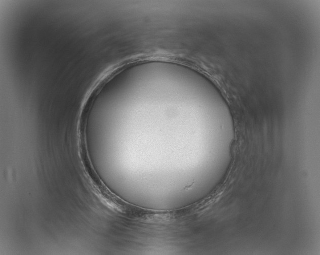 X0000073990102200609181753