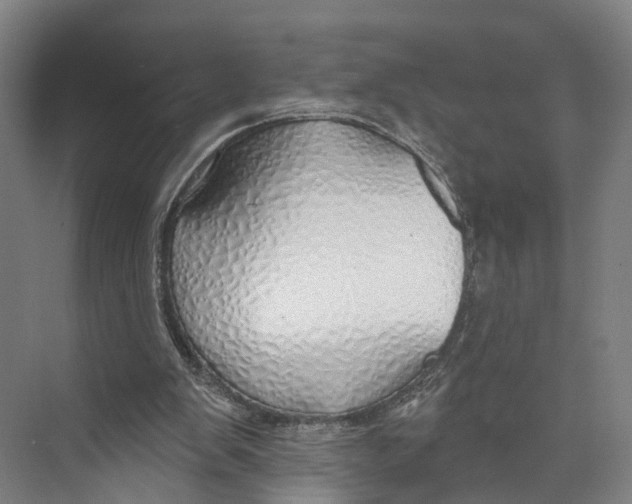 X0000073990103200609181753