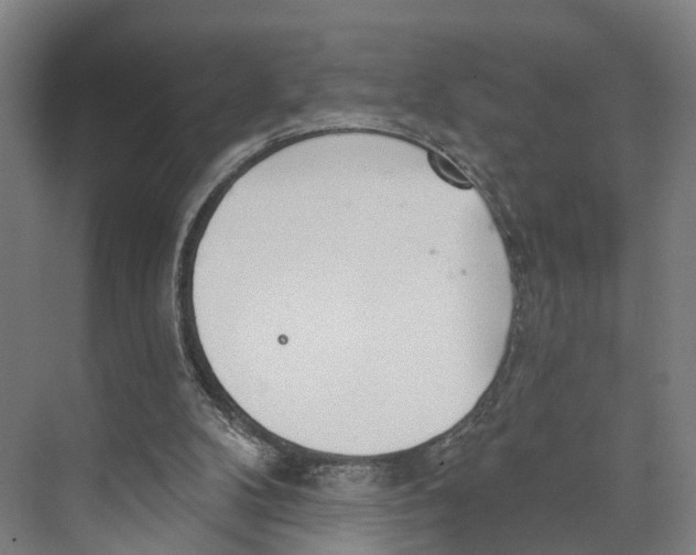 X0000073990104200609181752