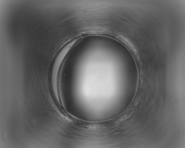 X0000073990105200609181752