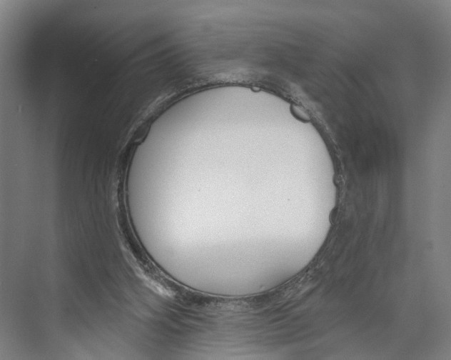 X0000073990106200609181752