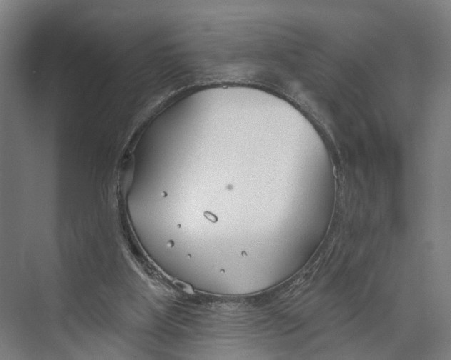 X0000073990107200609181752