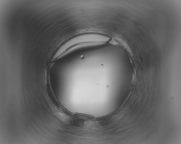 X0000073990109200609181752