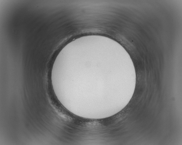 X0000073990112200609181752