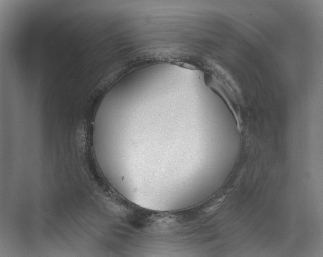 X0000073990113200609181752