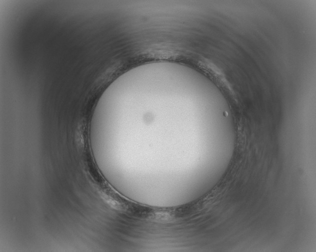 X0000073990114200609181752