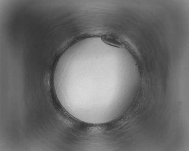 X0000073990115200609181752