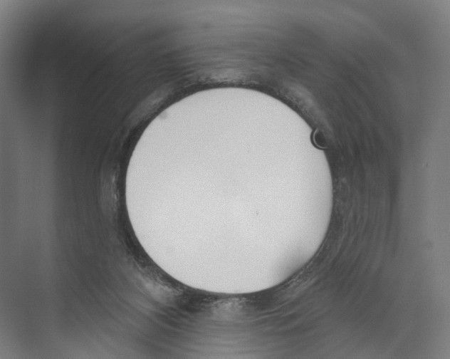 X0000073990116200609181752