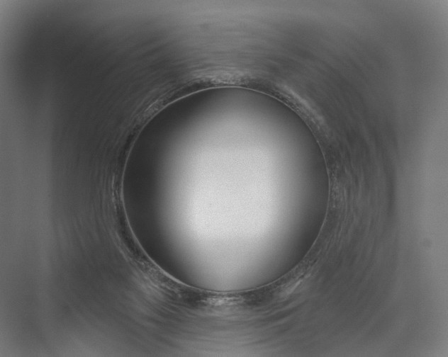 X0000073990117200609181752