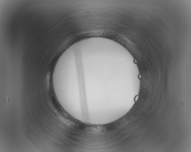 X0000073990118200609181752