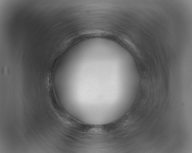 X0000073990119200609181752