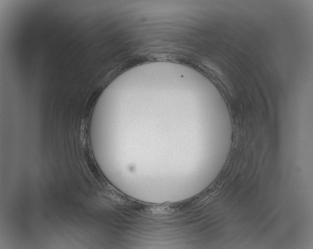 X0000073990121200609181752