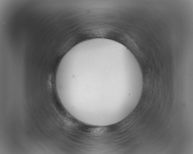 X0000073990122200609181752