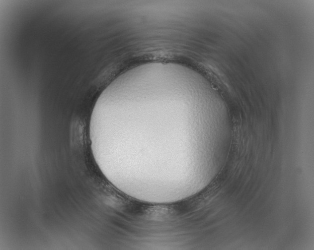 X0000073990123200609181752