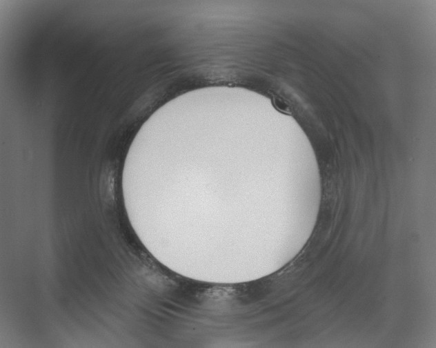 X0000073990124200609181752