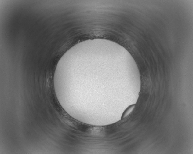 X0000073990126200609181752