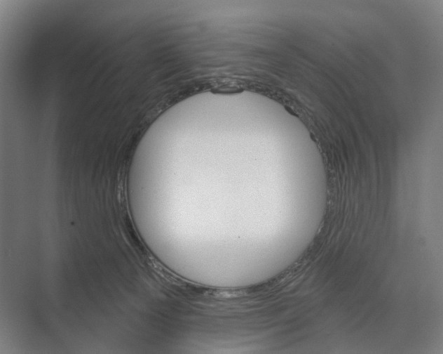 X0000073990129200609181752