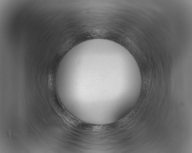 X0000073990130200609181752