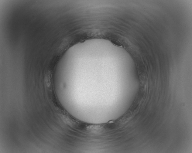 X0000073990133200609181752