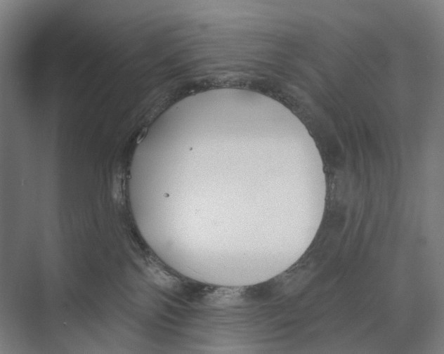 X0000073990138200609181752