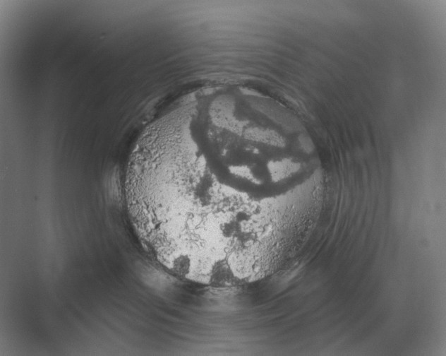 X0000073990143200609181752