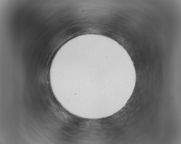 X0000073990146200609181751