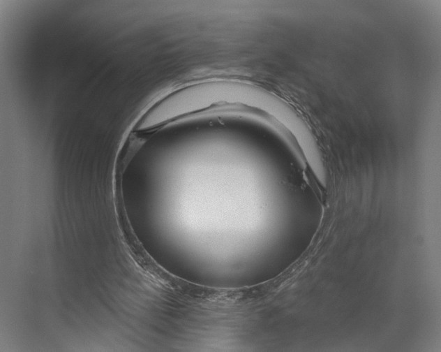 X0000073990148200609181751