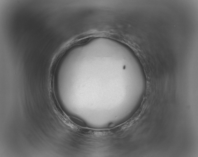 X0000073990149200609181751