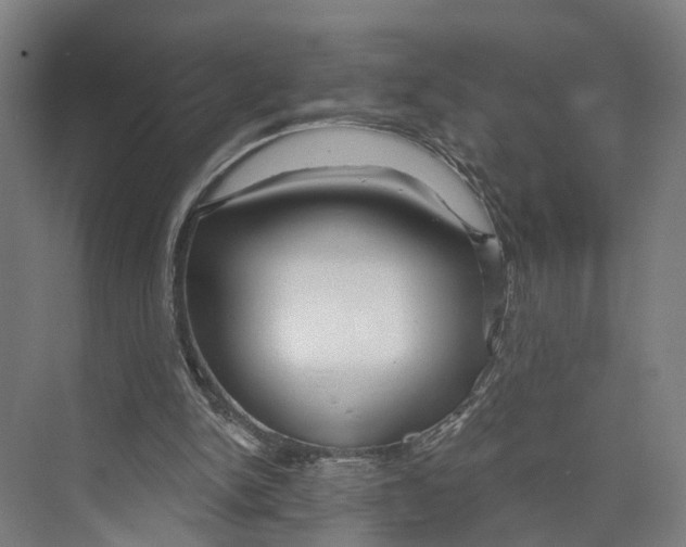 X0000073990150200609181751