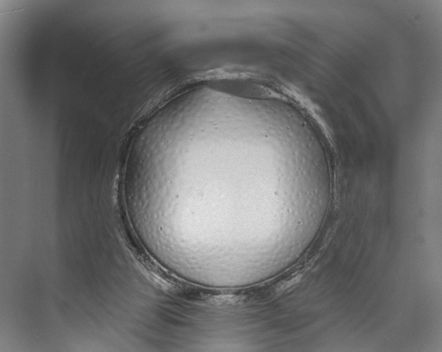 X0000073990153200609181751