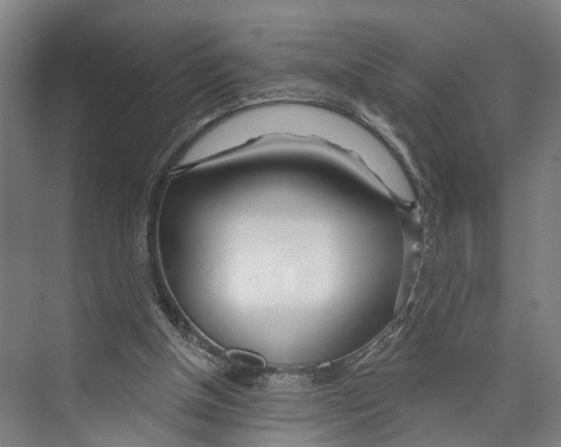 X0000073990154200609181751