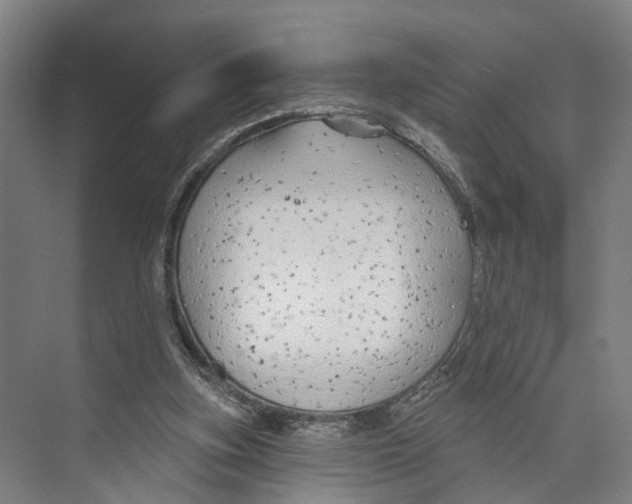 X0000073990155200609181751