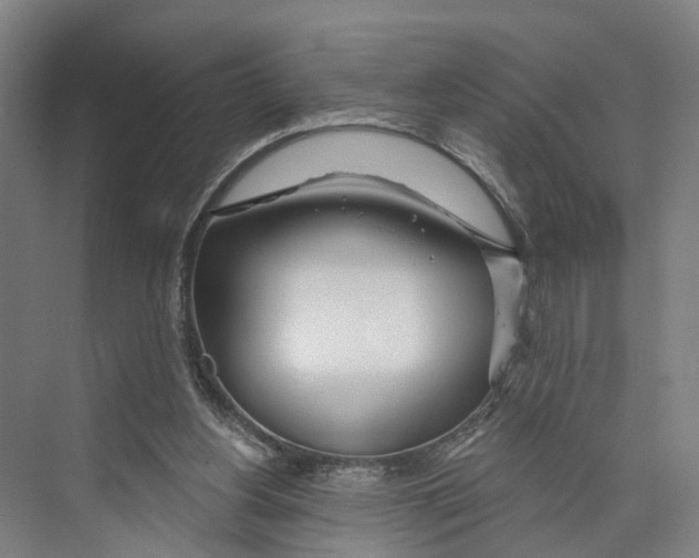 X0000073990156200609181751