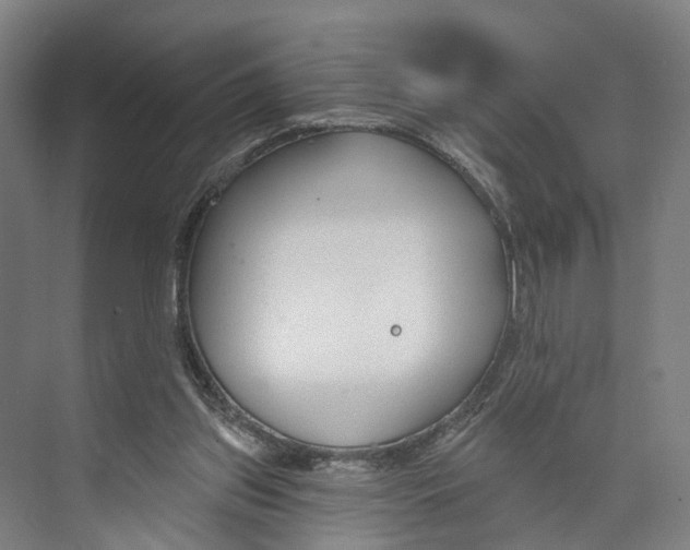 X0000073990157200609181751